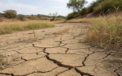 Pourquoi réaliser une étude de sol pour une maison déjà construite ?