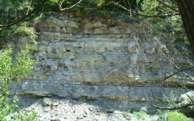 Terrains Marneux