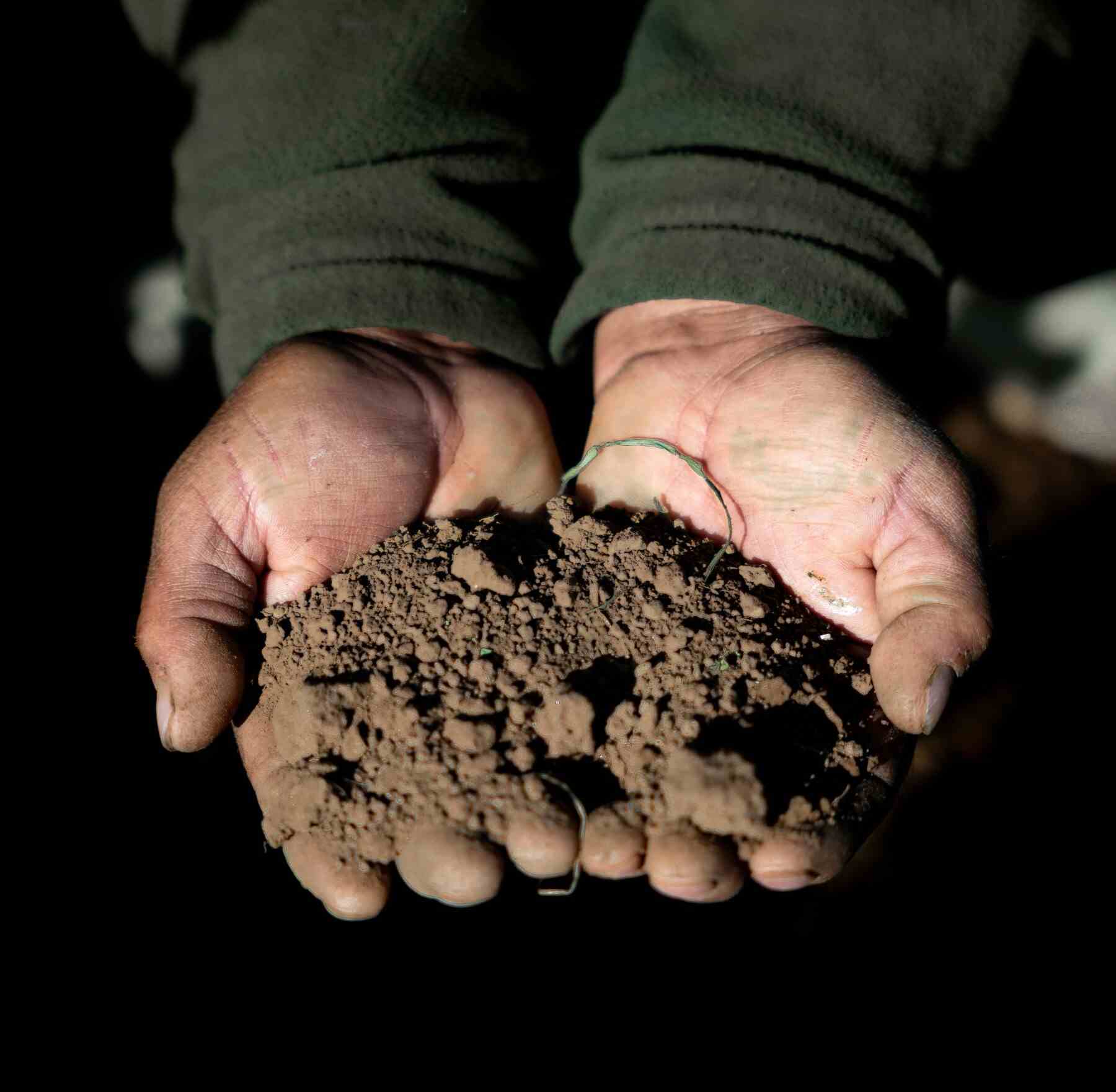 Qualité des sols-compressed Qualité des sols
