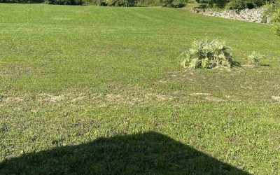 Cas client : Étude de sol G1 PGC à Aureville (31320)