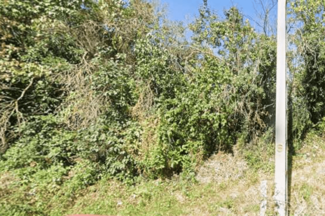 Terrain à bâtir à Désertines avant construction, dans le cadre d’une étude de sol g1 à Désertines pour analyser la nature du sol et les contraintes géotechniques.