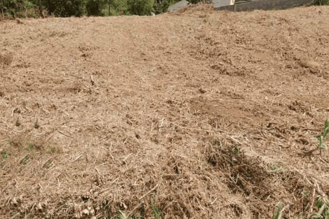 Réalisation d'un forage à la tarière lors d'une étude de sol g1 à Quillan pour analyser les couches de limons argileux.