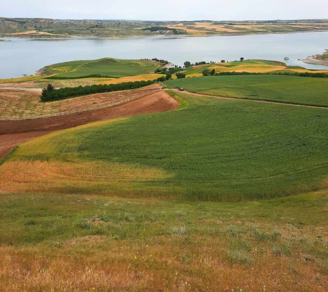 Terrain Terrain