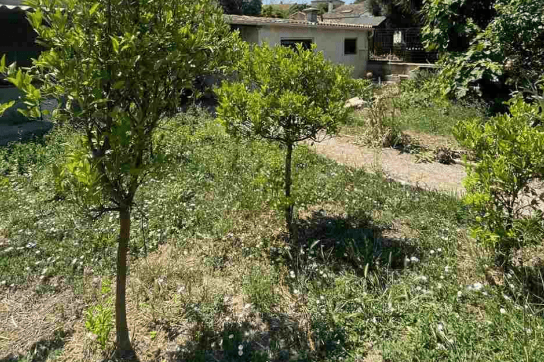 Réalisation d'un essai au pénétromètre dynamique lors d'une étude de sol G1 à Marseille pour sécuriser la construction d'une future maison.