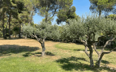 Cas client : Étude de sol G1 PGC à Rognac (13340)