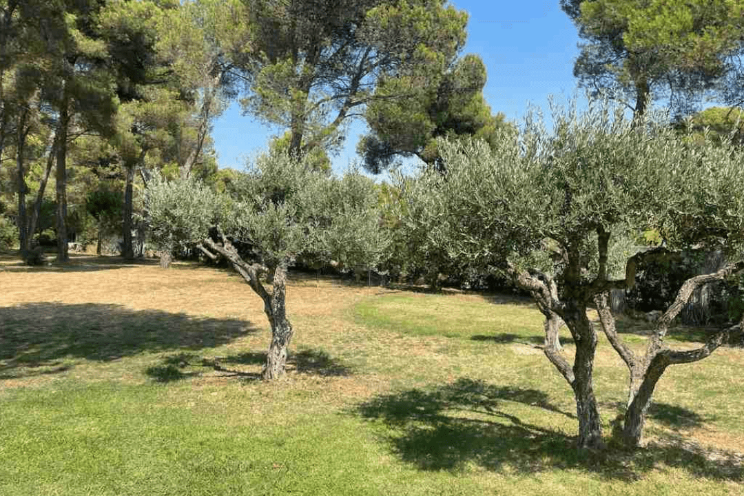 Analyse de la stabilité d'un terrain argileux lors d'une étude de sol g1 à Rognac pour sécuriser la vente d'une parcelle.
