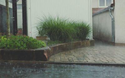 Gestion des eaux pluviales