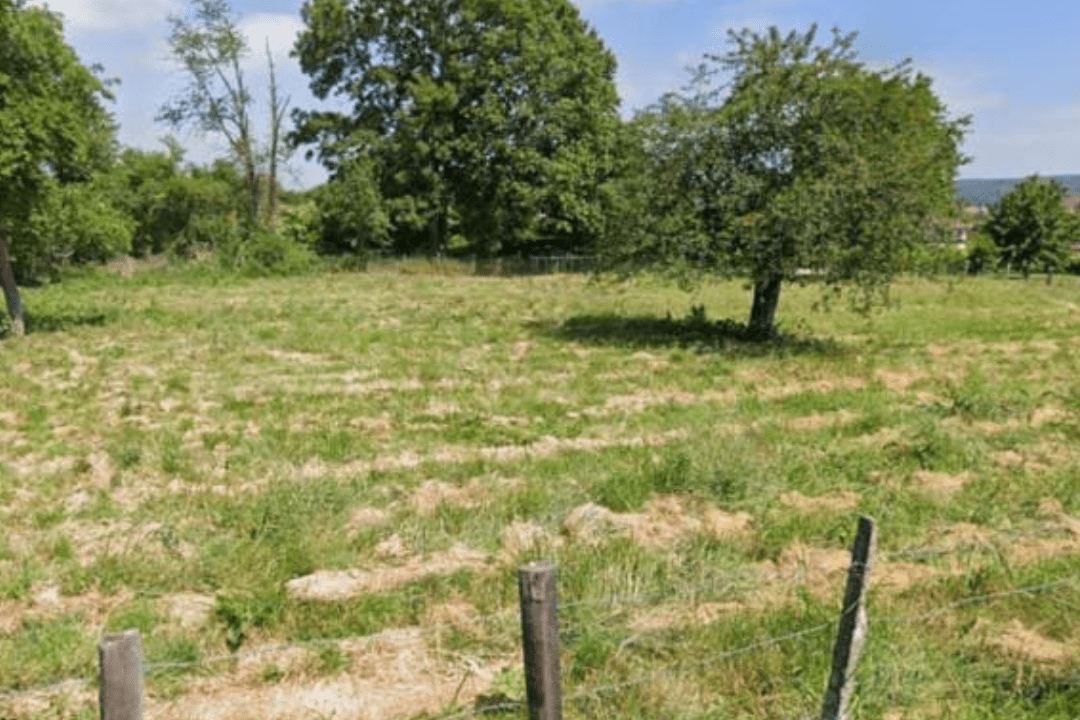 Réalisation de prélèvements à la tarière mécanique pour une étude de sol à La Chapelle-Longueville afin d'analyser le risque d'argile à silex.