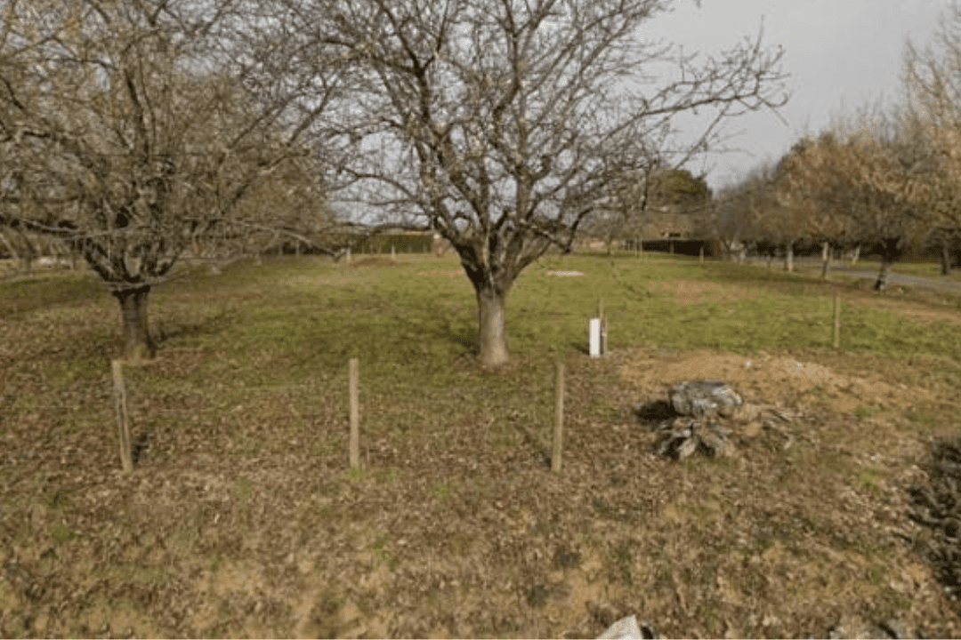 Terrain arboré à Gaillac (Tarn) faisant l’objet d’une étude de sol G2 à Gaillac, dans le cadre d’une mission géotechnique AVP pour sécuriser la conception du projet de construction.
