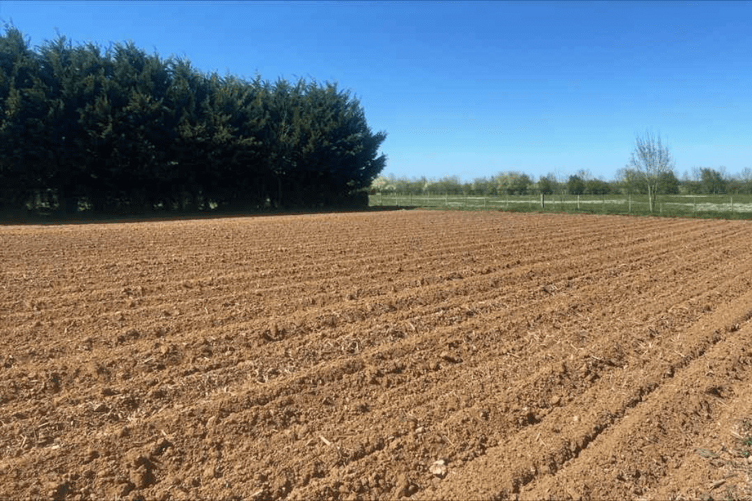 etude-de-sol-g1-pgc-gemozac-17260 Étude de sol G1 à Gémozac : terrain agricole analysé avant la vente et un futur projet de construction