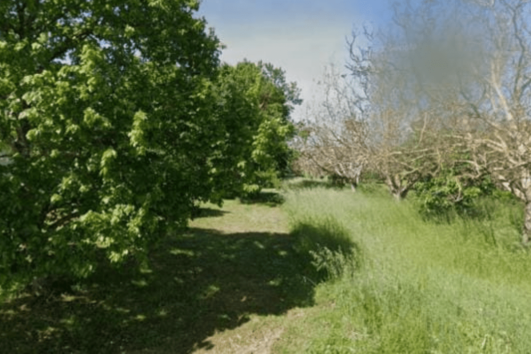 etude-de-sol-g2-avp-semalens-81570 Réalisation d'une étude de sol g2 à Sémalens par GISOL pour le projet de construction de maison individuelle